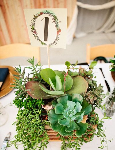 succulent plants fall wedding centerpiece